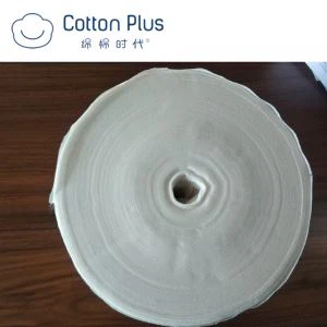 Wipes Rolla Trealamh Giomnáisiam